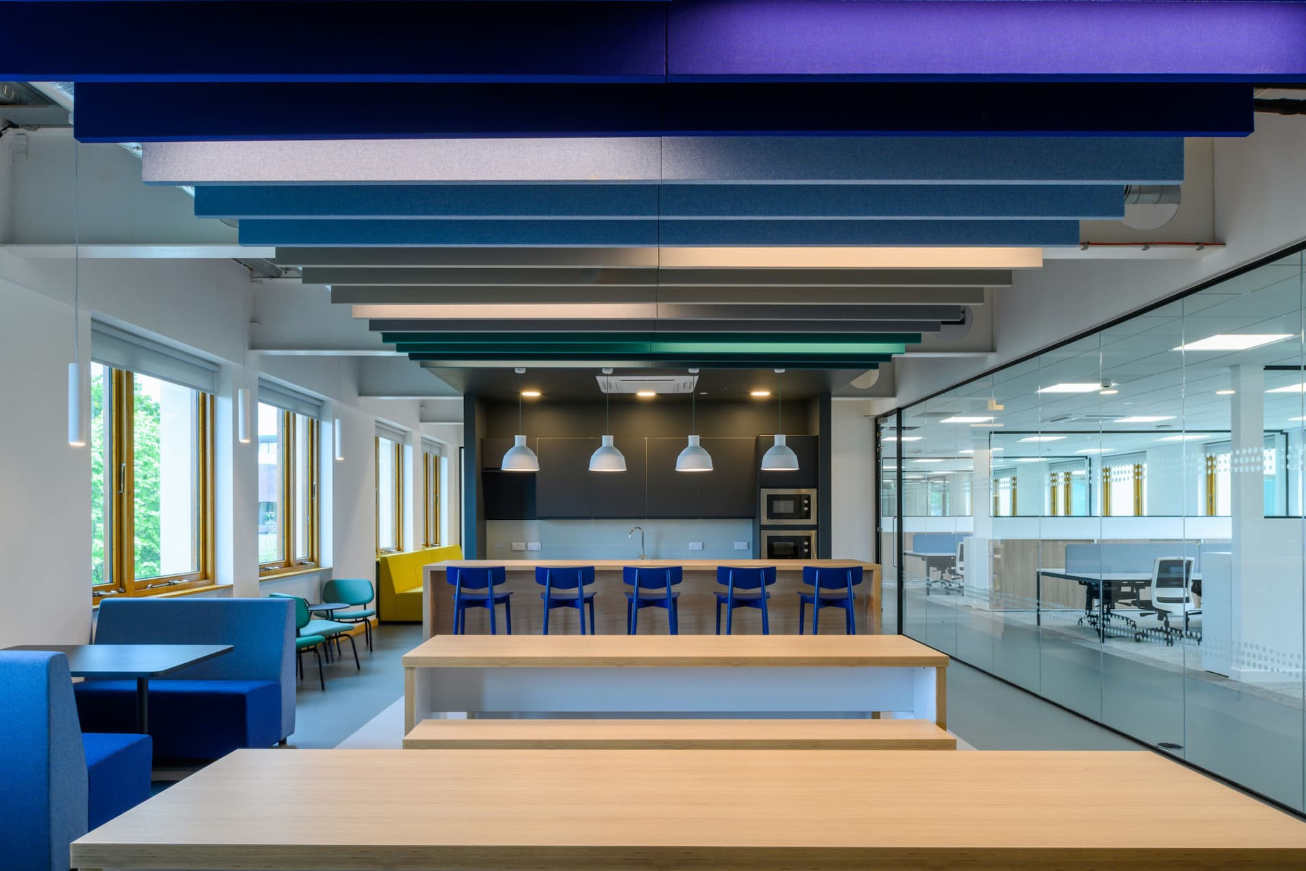 Transition Bio Laboratory - Plan, Design, Build, Furnish - COEL