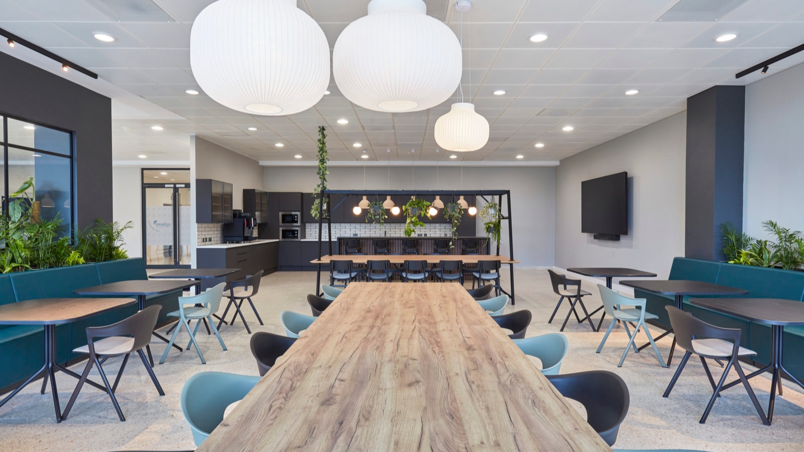 Office design trends: COEL’s predictions for 2024