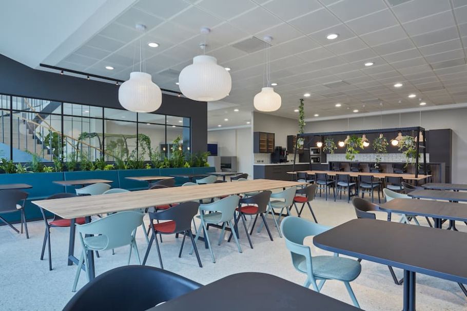 Natural Elements in Workplace Design - COEL