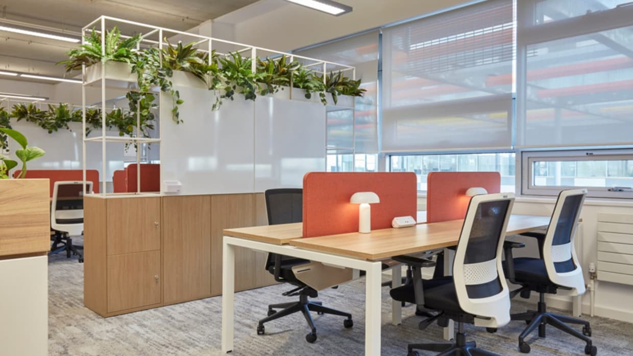 Choosing the Right Ergonomic Chair for Back Pain and Productivity - COEL