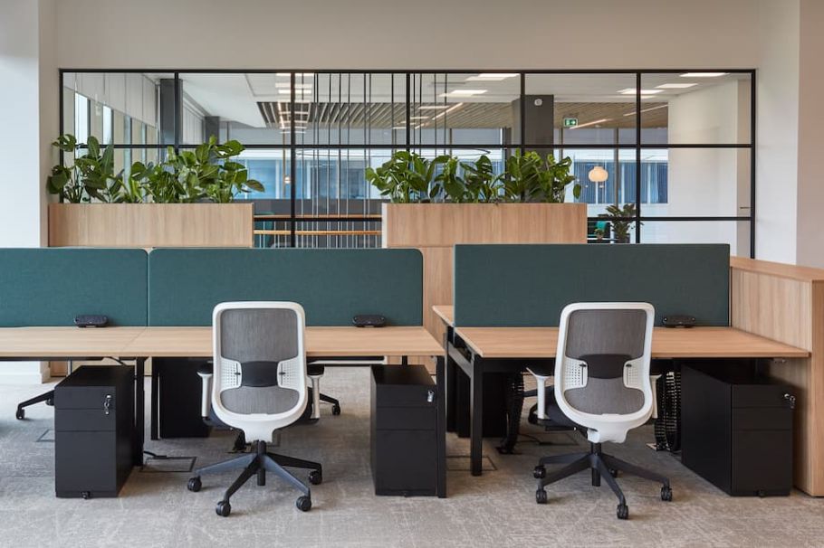 Features to Look for in an Ergonomic Chair - COEL