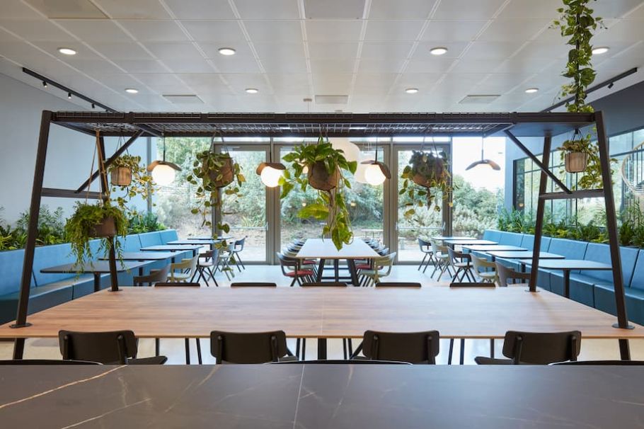 Highly Functional Workplace Design - COEL