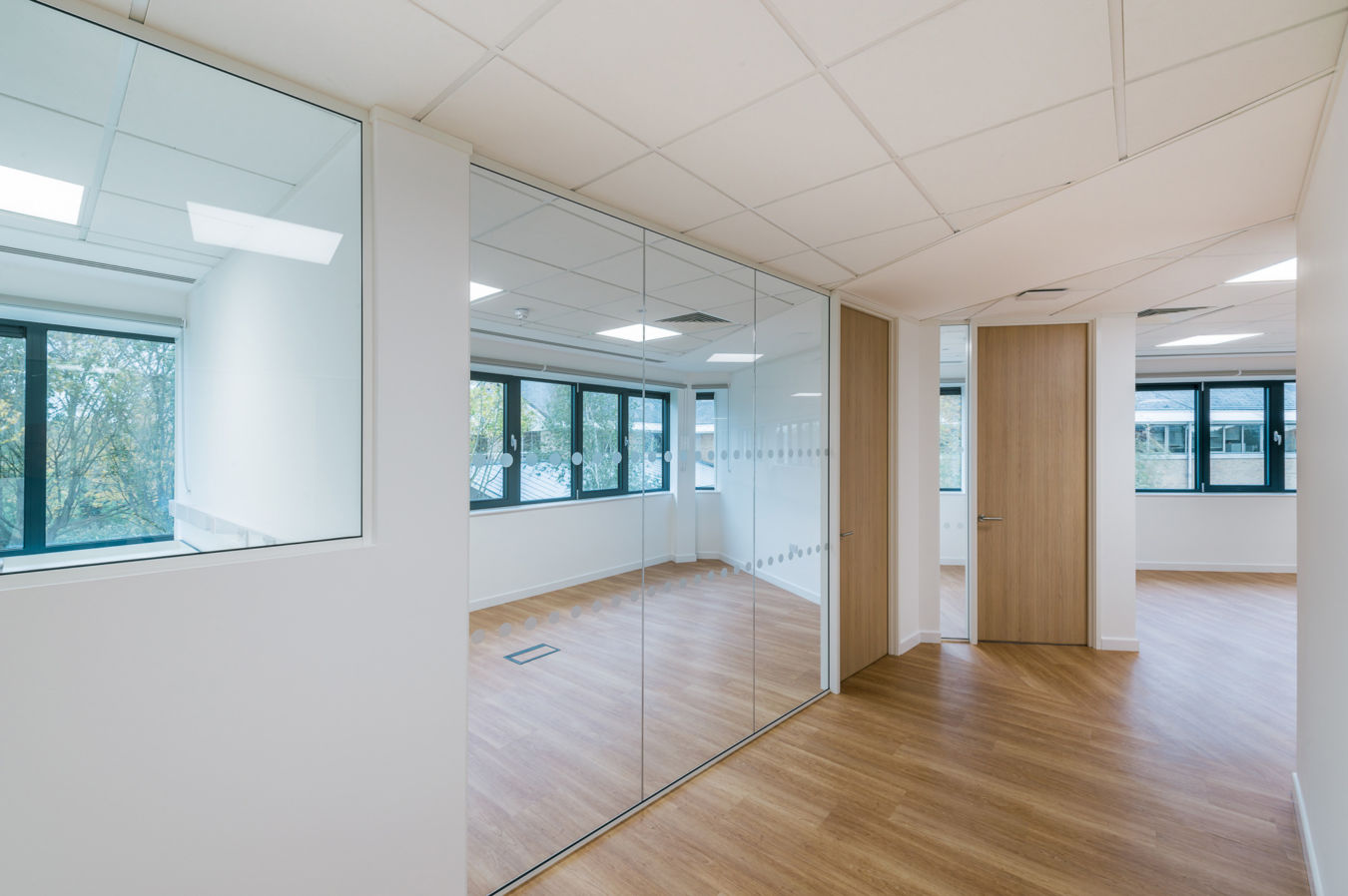 Modern office space featuring glass partitions reflecting natural light, with wooden doors and flooring, illuminated by ceiling lights, and surrounded by large windows overlooking a leafy outdoor environment.