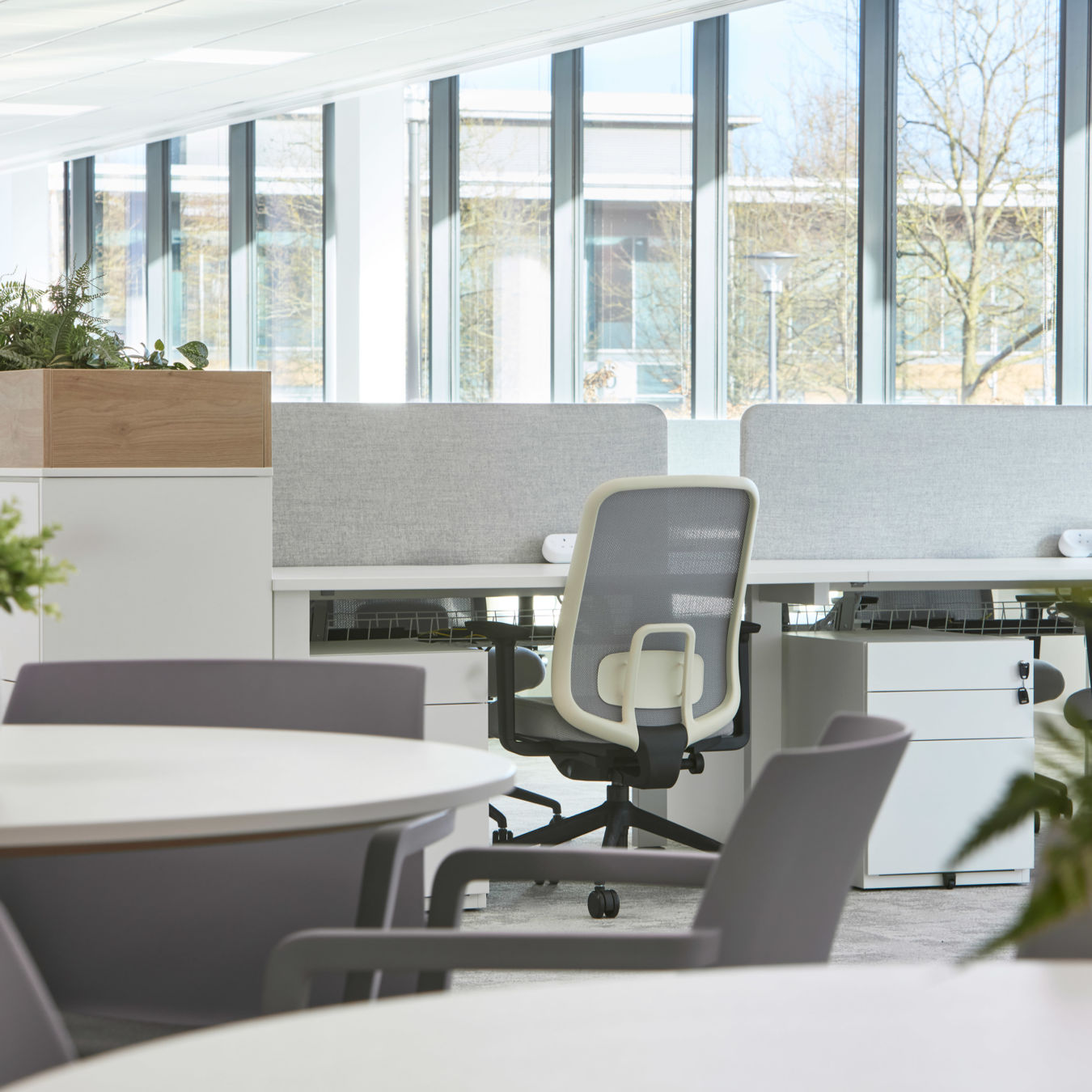Modern office space with round tables, ergonomic chairs, and partitioned desks. Large windows provide natural light, while plants add a fresh touch.