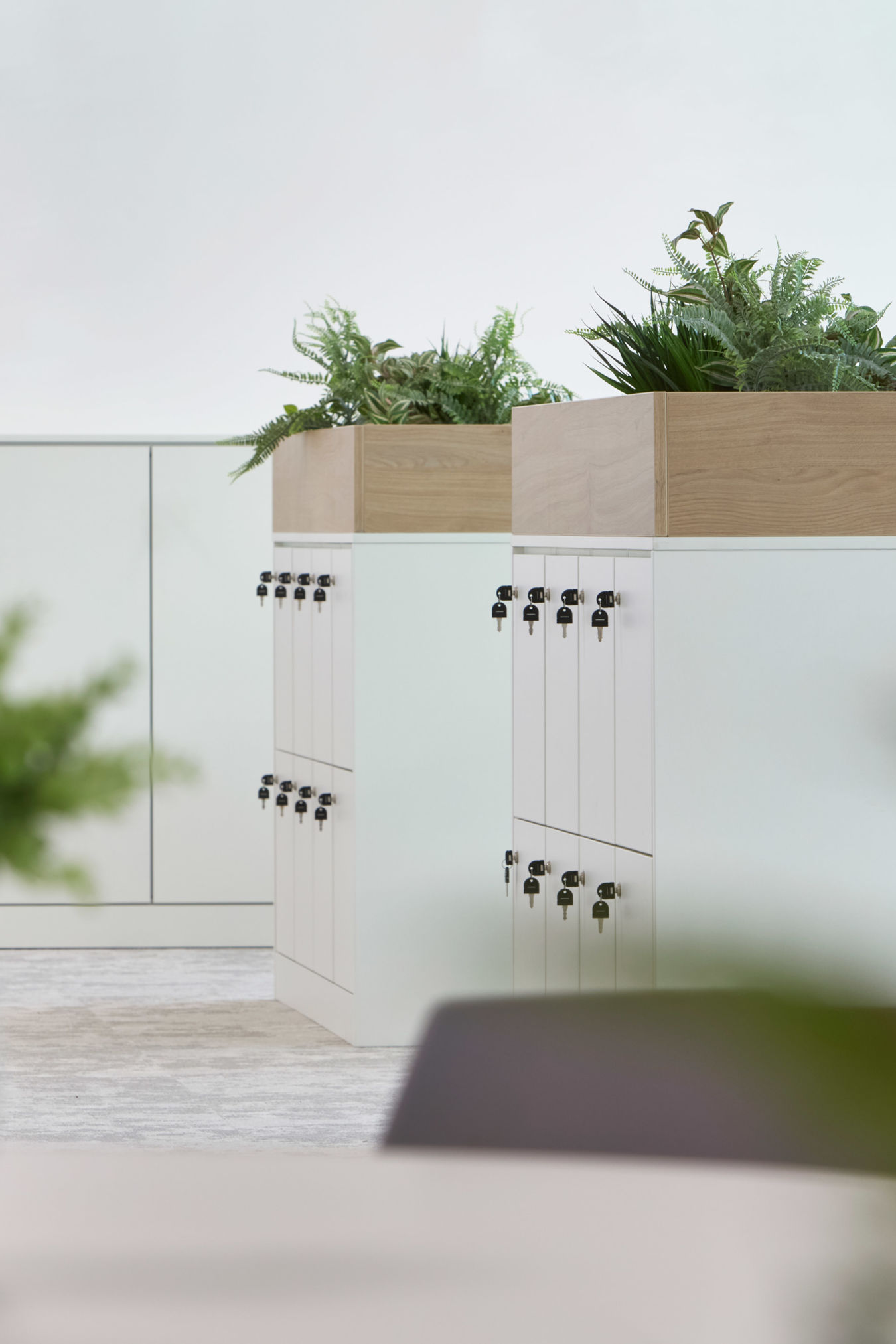 White office lockers with built-in planter boxes on top, complemented by indoor plants and minimalistic decor."