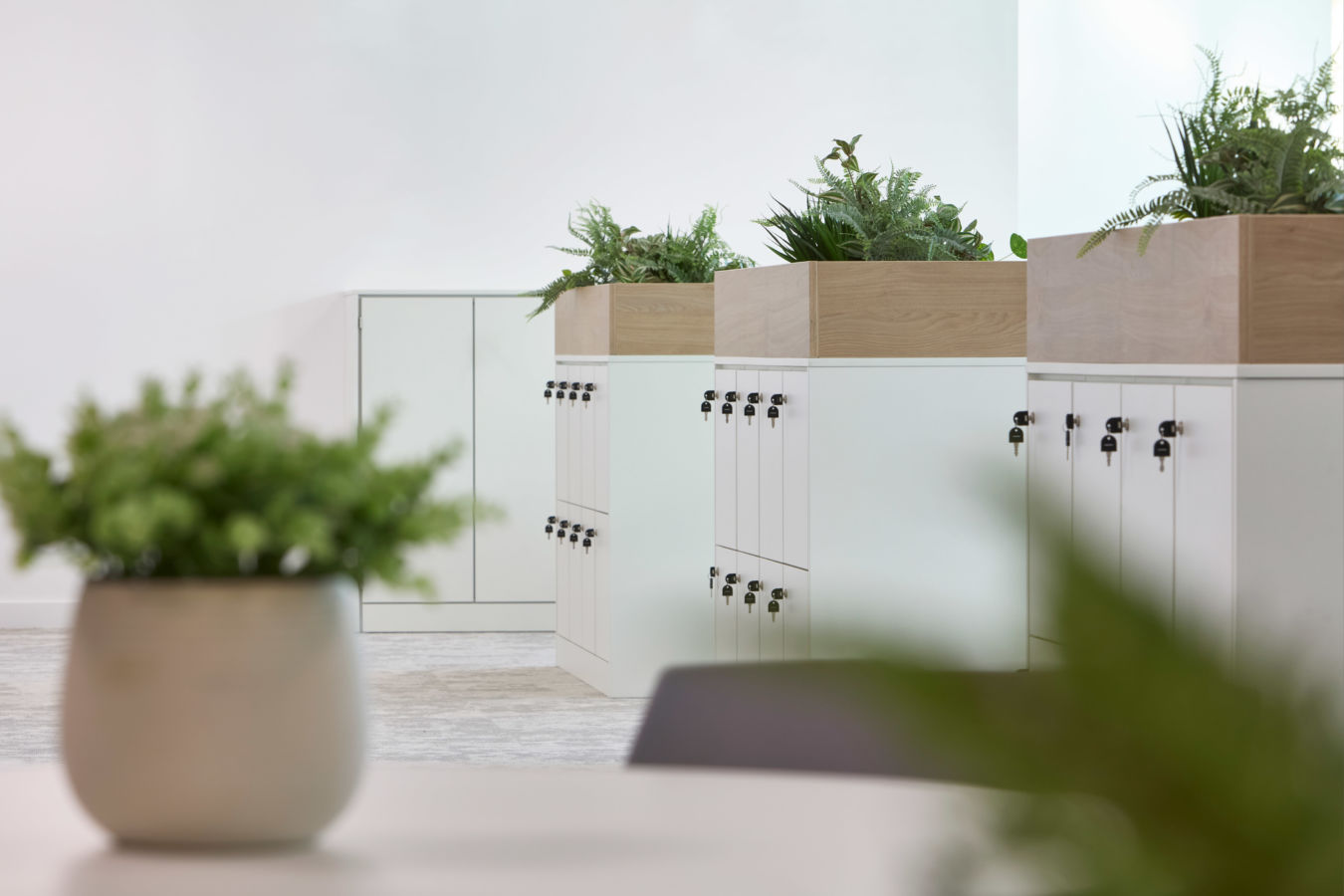 White office lockers with built-in planter boxes on top, complemented by indoor plants and minimalistic decor."