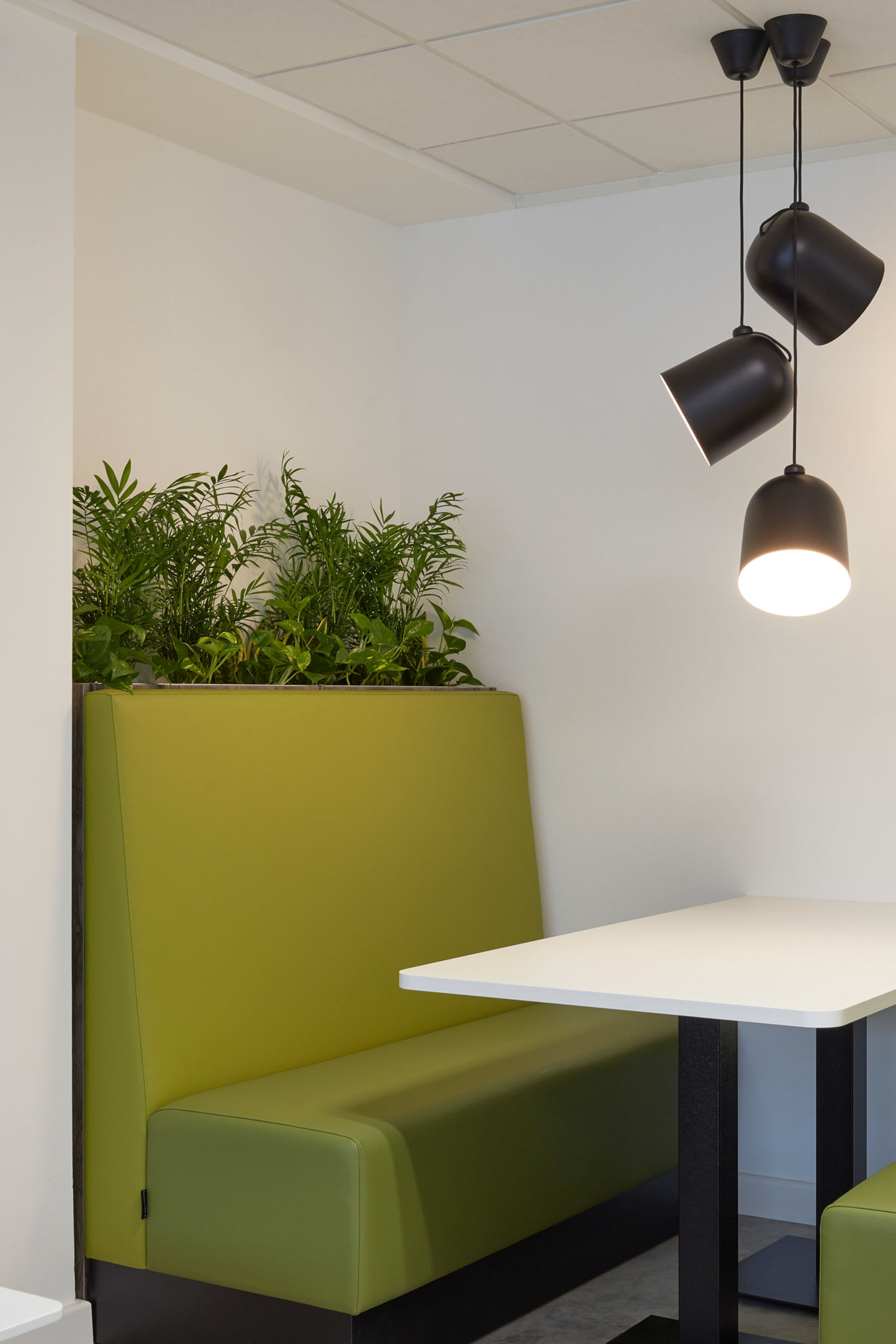 Green padded bench seating surrounds a white table under black pendant lights, with plants decorating the area and a nearby wooden shelf holding potted greenery in a modern, minimalist space.