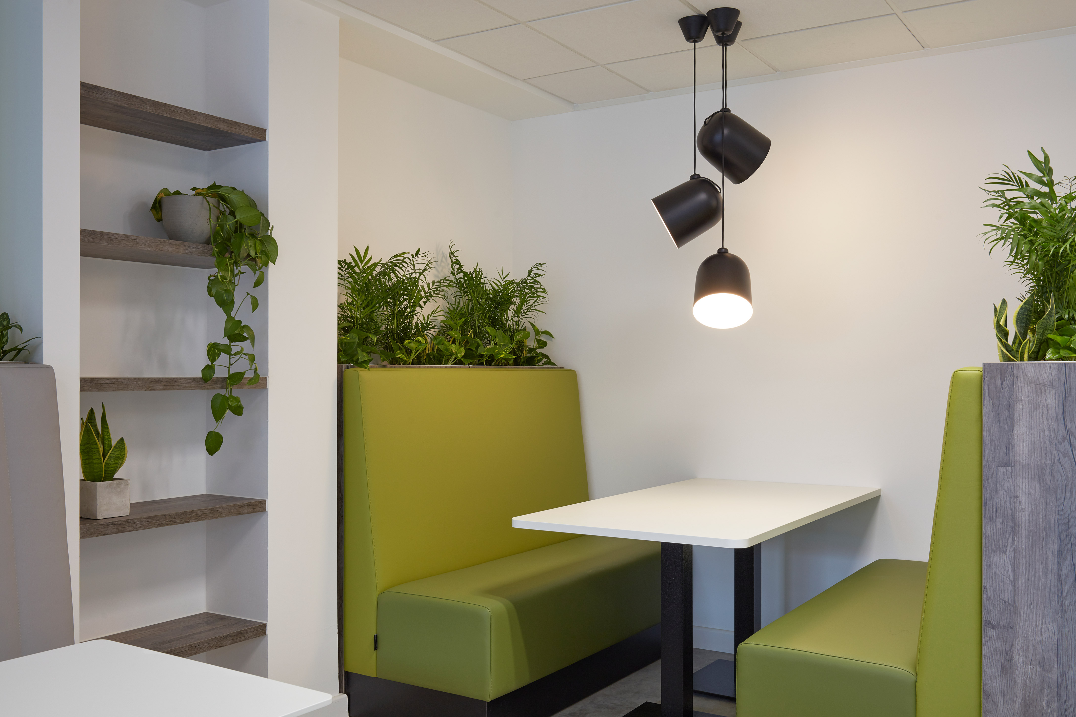 Green padded bench seating surrounds a white table under black pendant lights, with plants decorating the area and a nearby wooden shelf holding potted greenery in a modern, minimalist space.