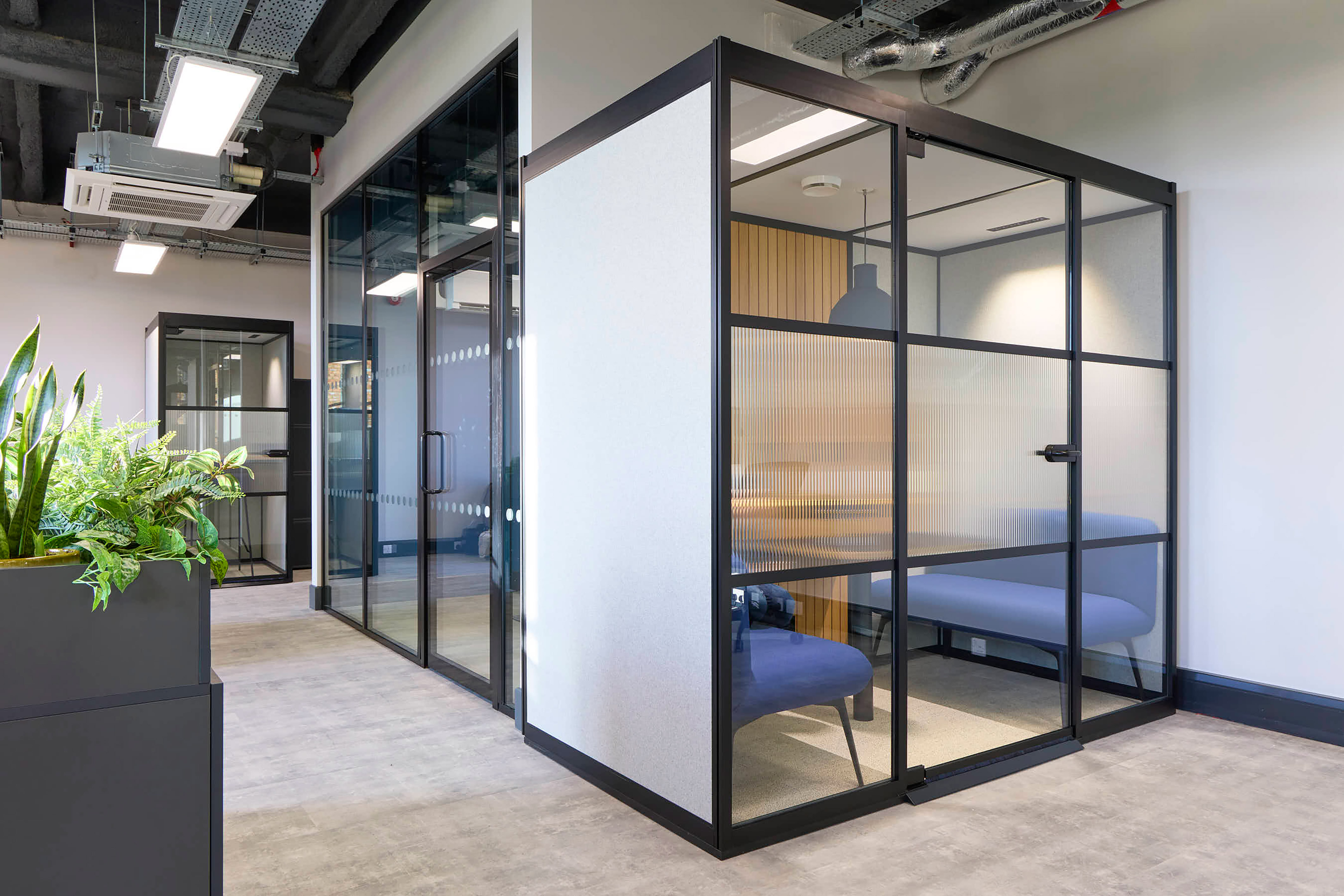 Modern office partitions with glass walls and black frames, enclosing blue seating areas; features exposed ceilings, overhead lighting, and a planter with green foliage in the foreground.