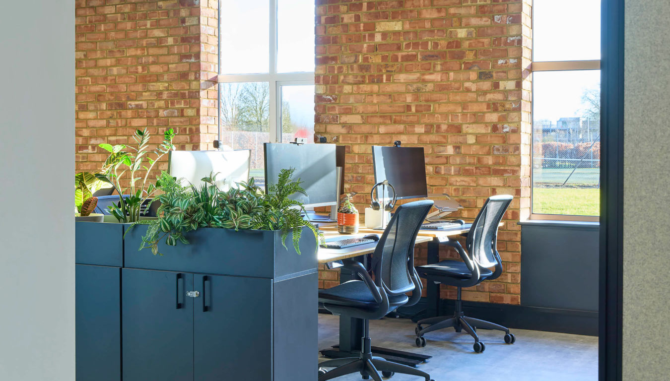 Office desks with computers, black chairs, and plants in a planter against a brick wall