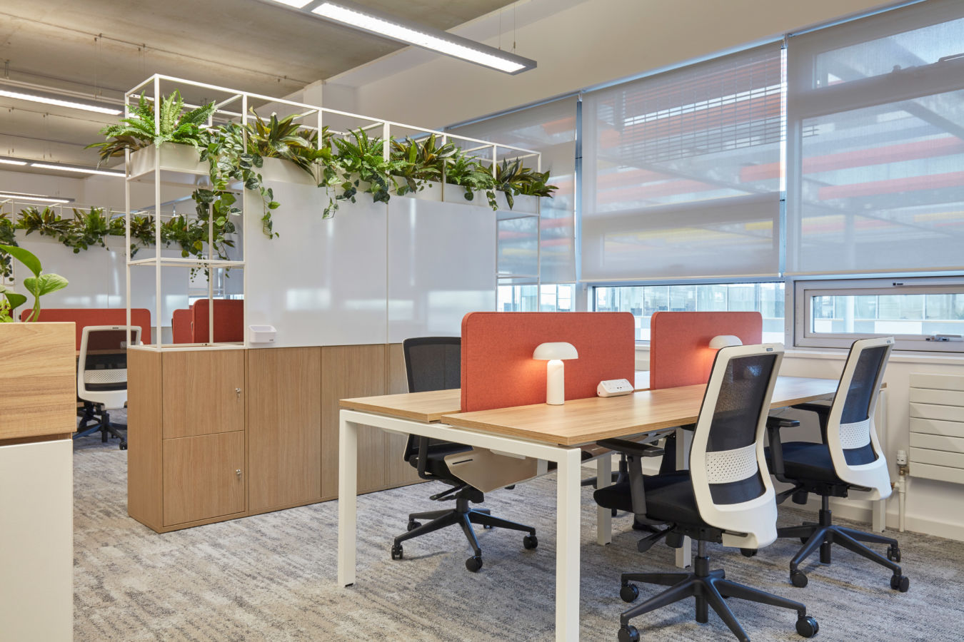 Modern office space with light wood desks, orange fabric dividers, and black office chairs. Green plants hang from white shelves above, creating a calm atmosphere.