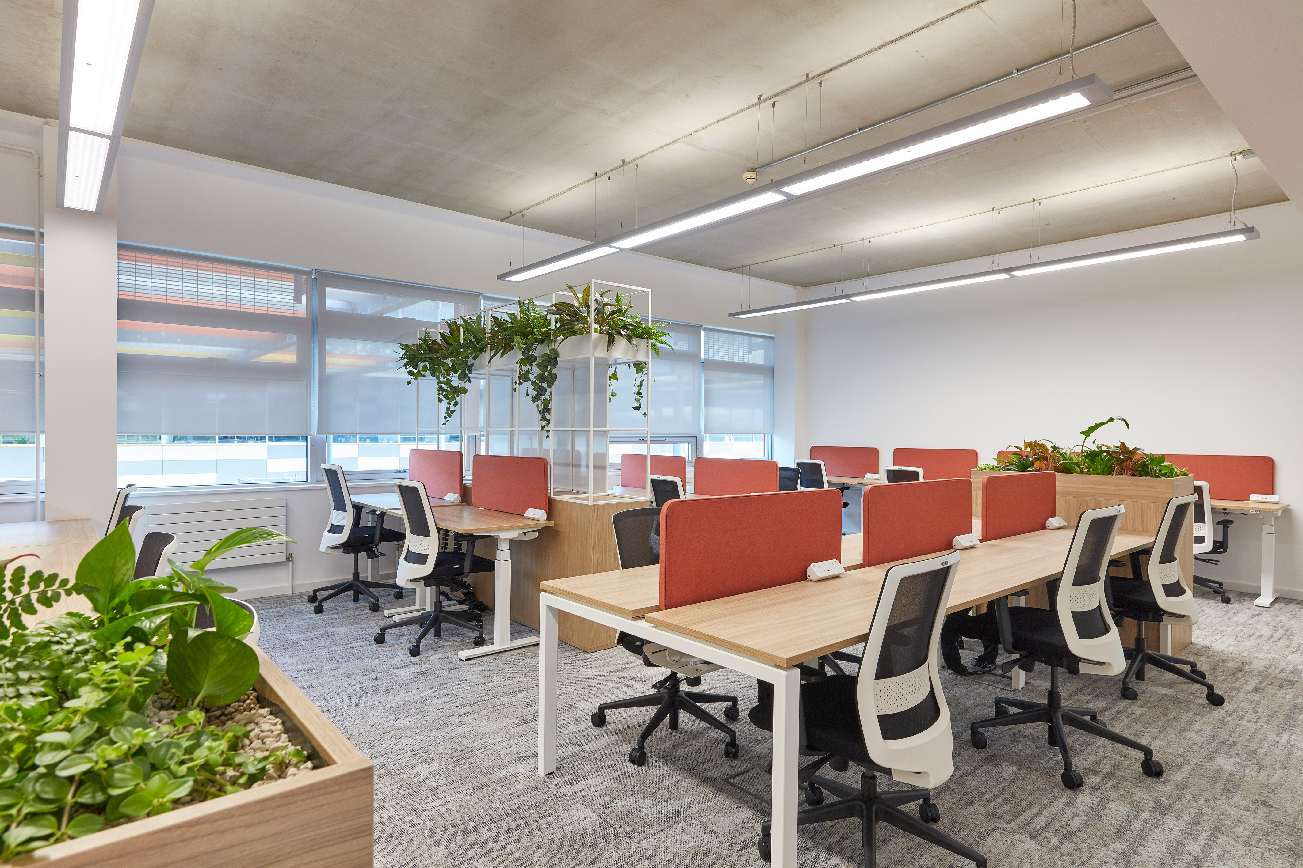 Modern open office with shared desks, red privacy panels, ergonomic chairs, and indoor plants enhancing the workspace