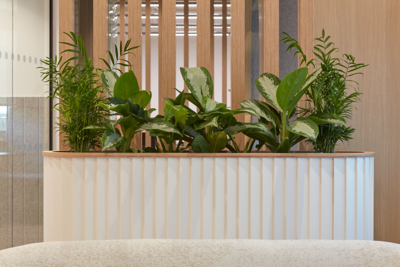 A variety of green plants grow in a white, fluted planter, set against a backdrop of vertical wooden slats in a modern interior space.