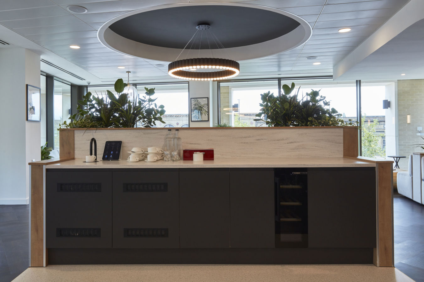 Modern kitchen with black cabinets and white countertop, featuring a tablet and cups with a sleek, ring-shaped ceiling light above. Green plants adorn the divider, enhancing a bright, open space.