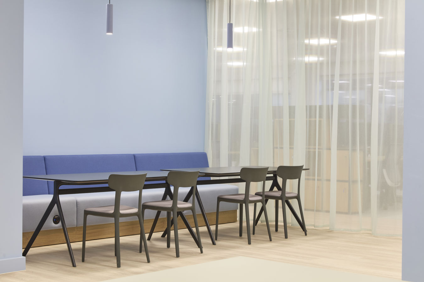 A modern office space features a row of chairs and tables against a blue wall, accompanied by soft lighting and sheer curtains in the background.