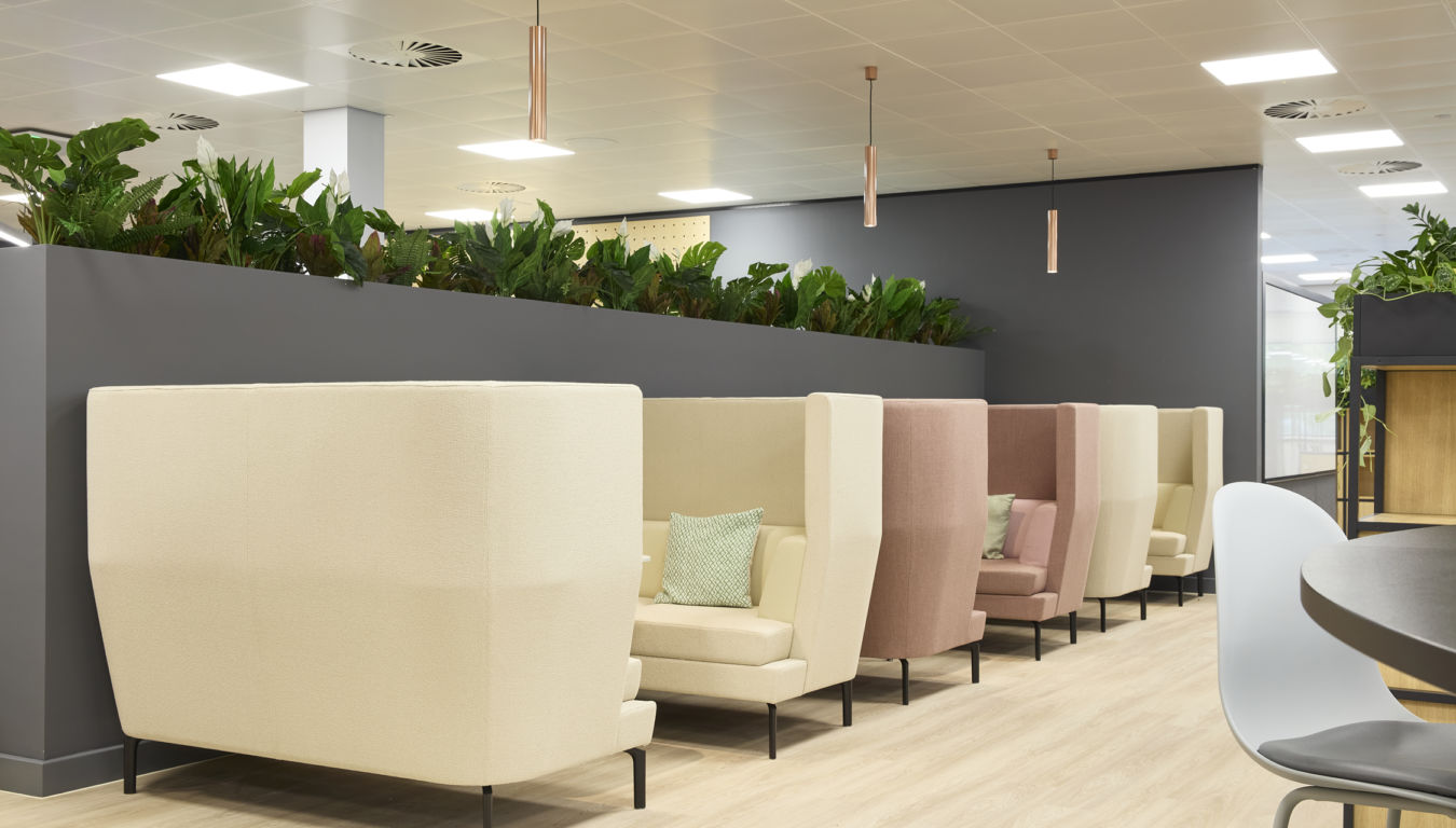 Modern office seating area with cream and pink high-backed chairs separated by plants on a gray partition. Bright, calm ambiance with wood flooring