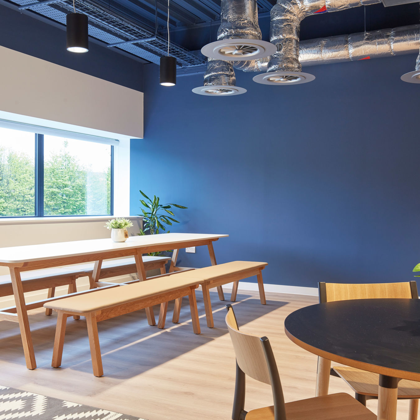 Modern cafeteria with wooden tables, benches, a potted plant, and a blue accent wall. Exposed ductwork and large windows create an airy atmosphere