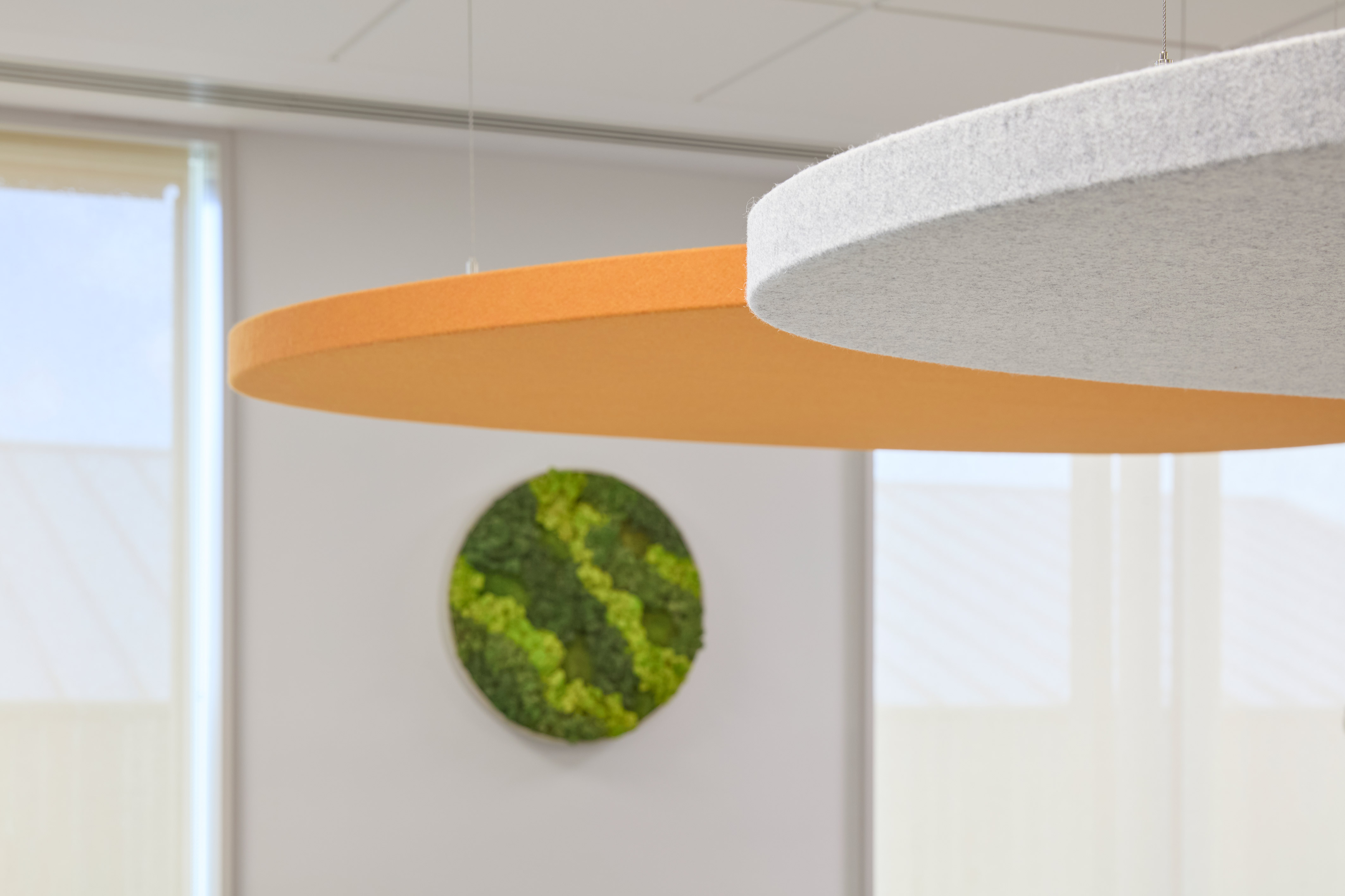 Orange and gray circular acoustic panels hang from the ceiling, with a green moss art piece and large windows in the background.