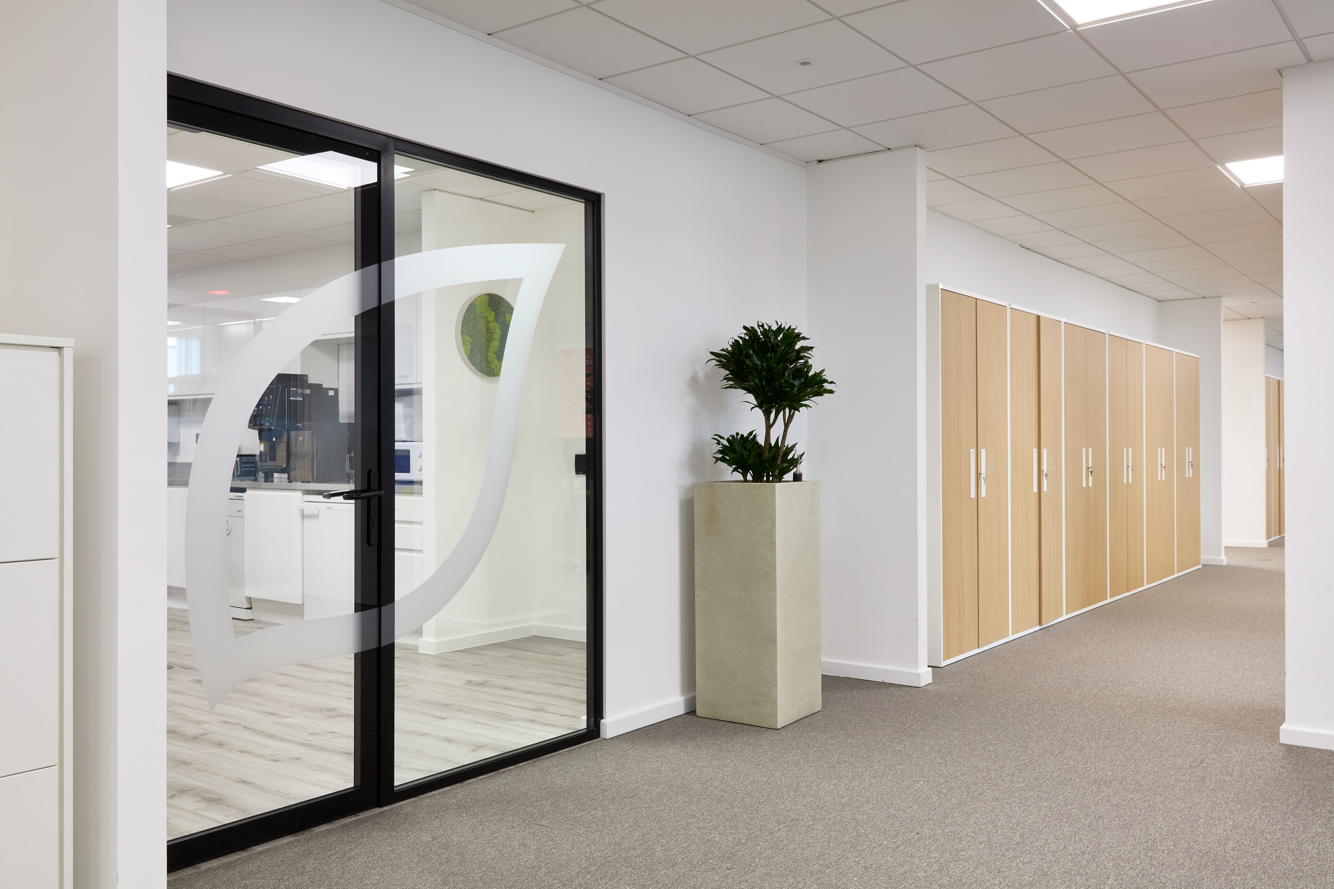 Glass door with a large, white leaf design leads into a modern office space with white cabinets. A tall potted plant and wooden lockers line the carpeted hallway.