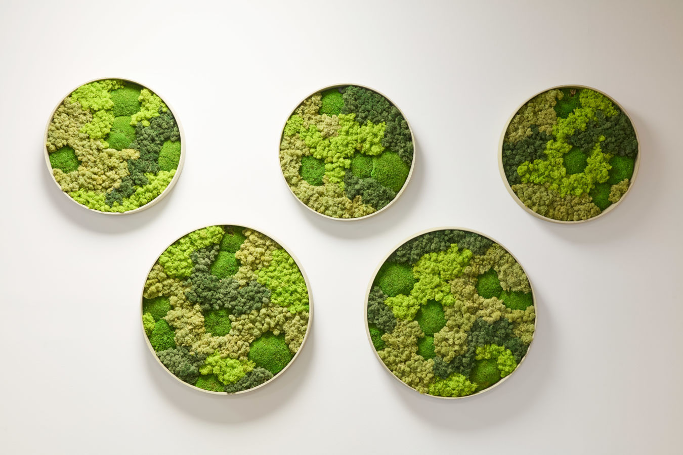 Three circular frames display vibrant green preserved moss, forming a textured, organic pattern. The composition is set against a plain white background, creating a minimalist, natural wall art design.