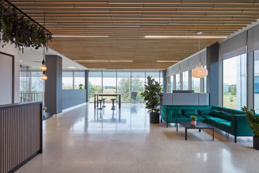 Green velvet sofa sits idle, surrounded by potted plants and wooden furniture, in a modern office space with large windows and ceiling lights.