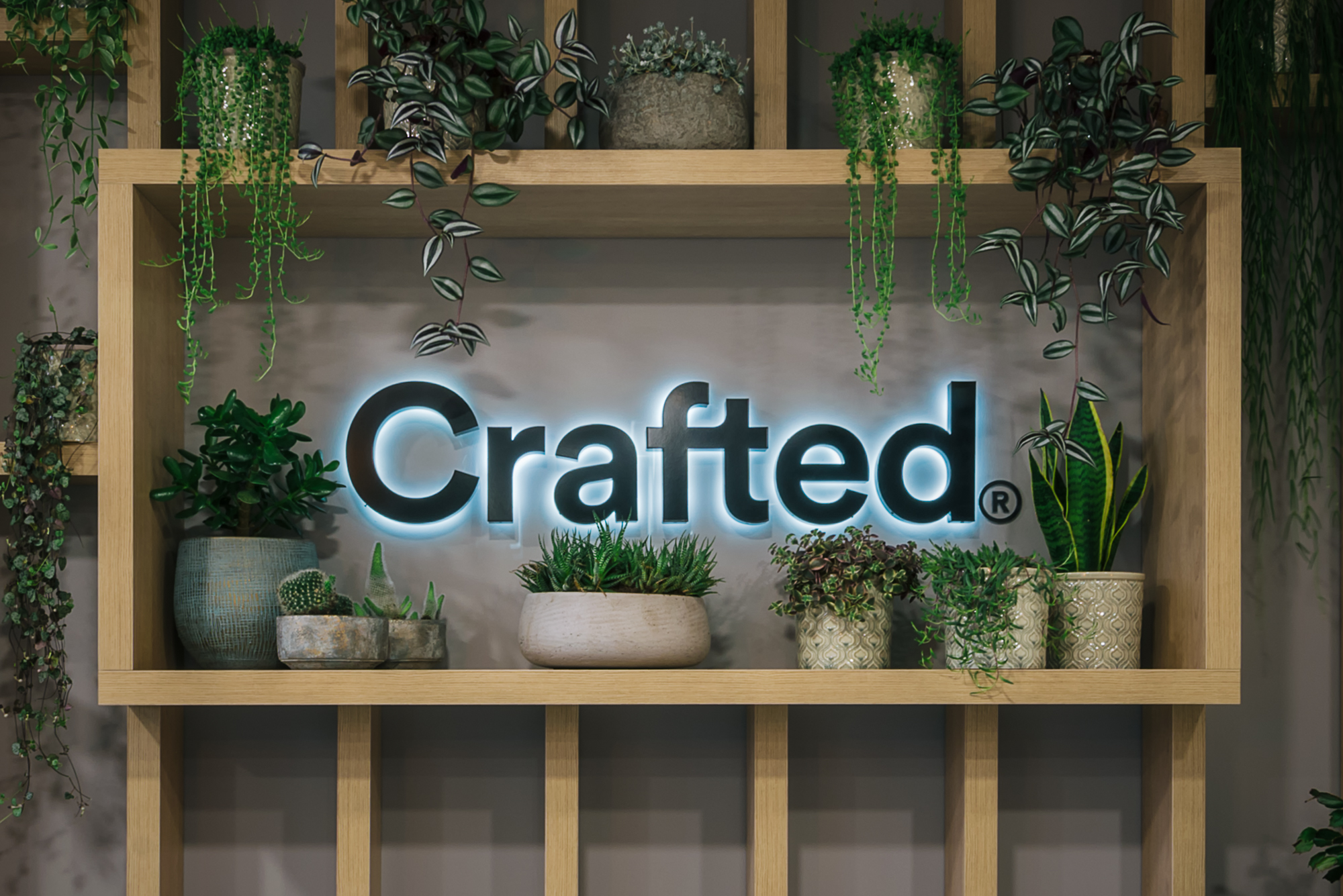 Illuminated sign with the word "Crafted" is surrounded by lush green plants in pots on a wooden shelf, creating a natural and inviting atmosphere.