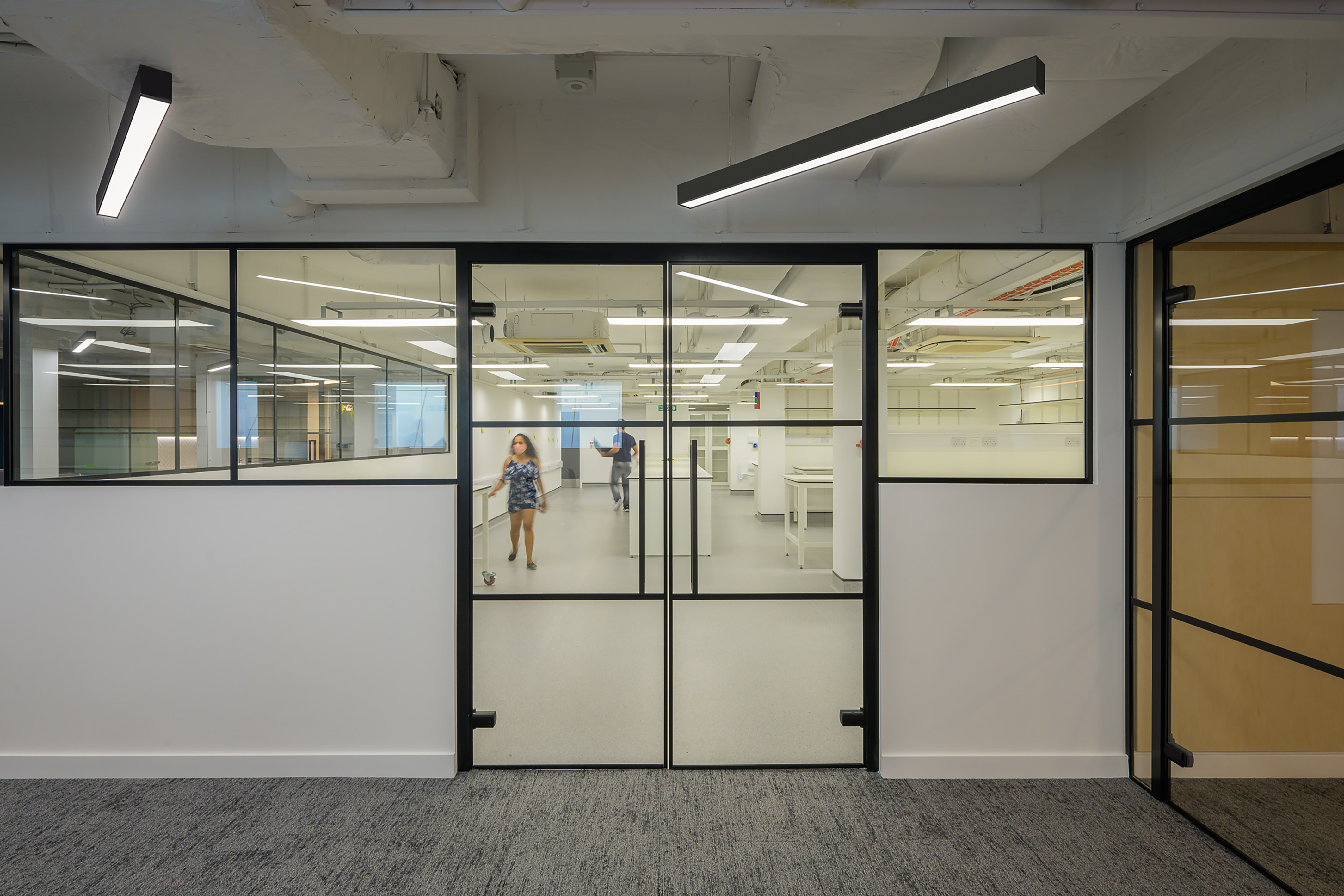 Modern office interior with black-framed glass partitions and visible laboratory space beyond, part of a COEL fit-out for Wren Therapeutics.