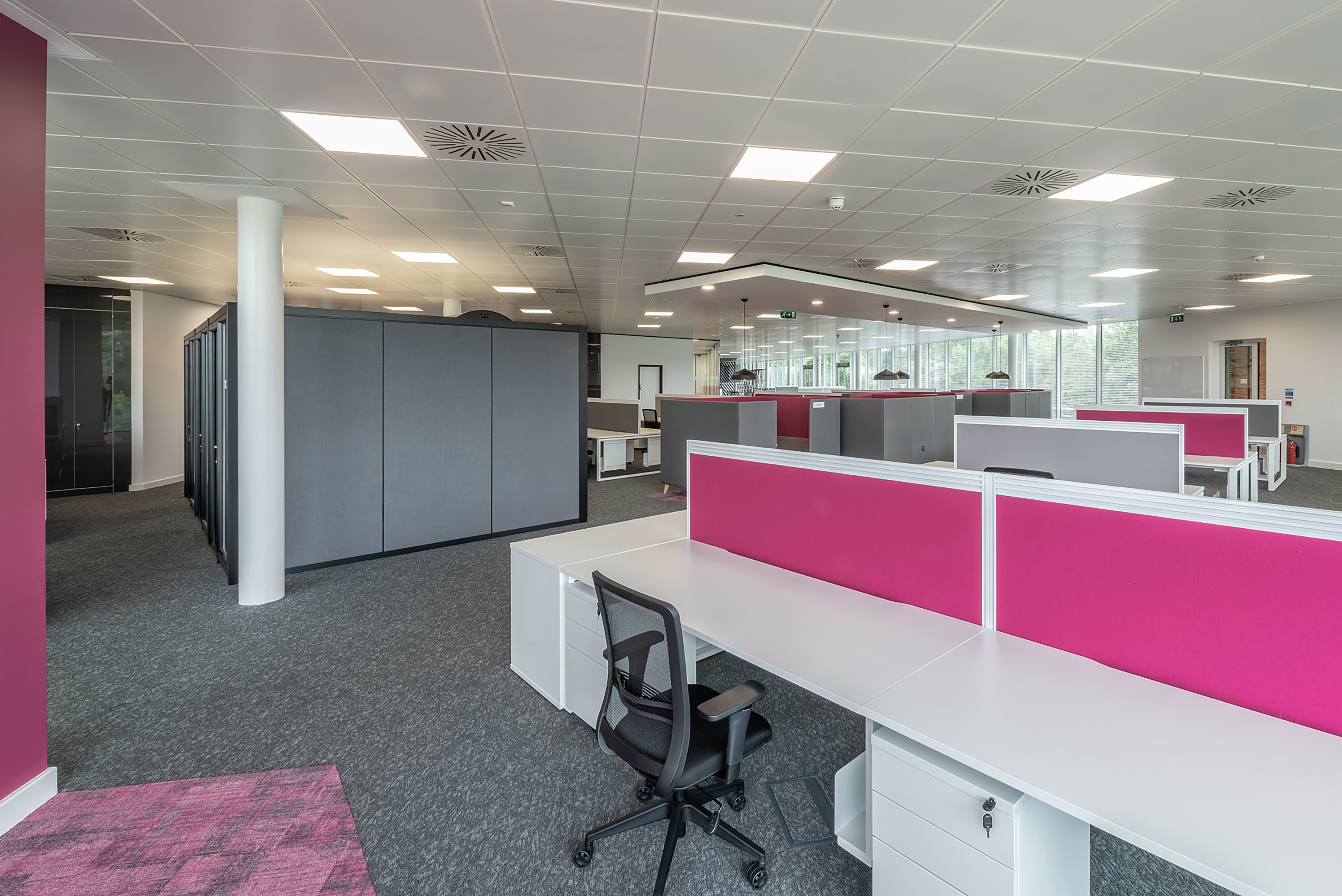 Modern office space with pink-accented desks, ergonomic chairs, and gray partitions. Bright lighting and large windows create an open, airy atmosphere.