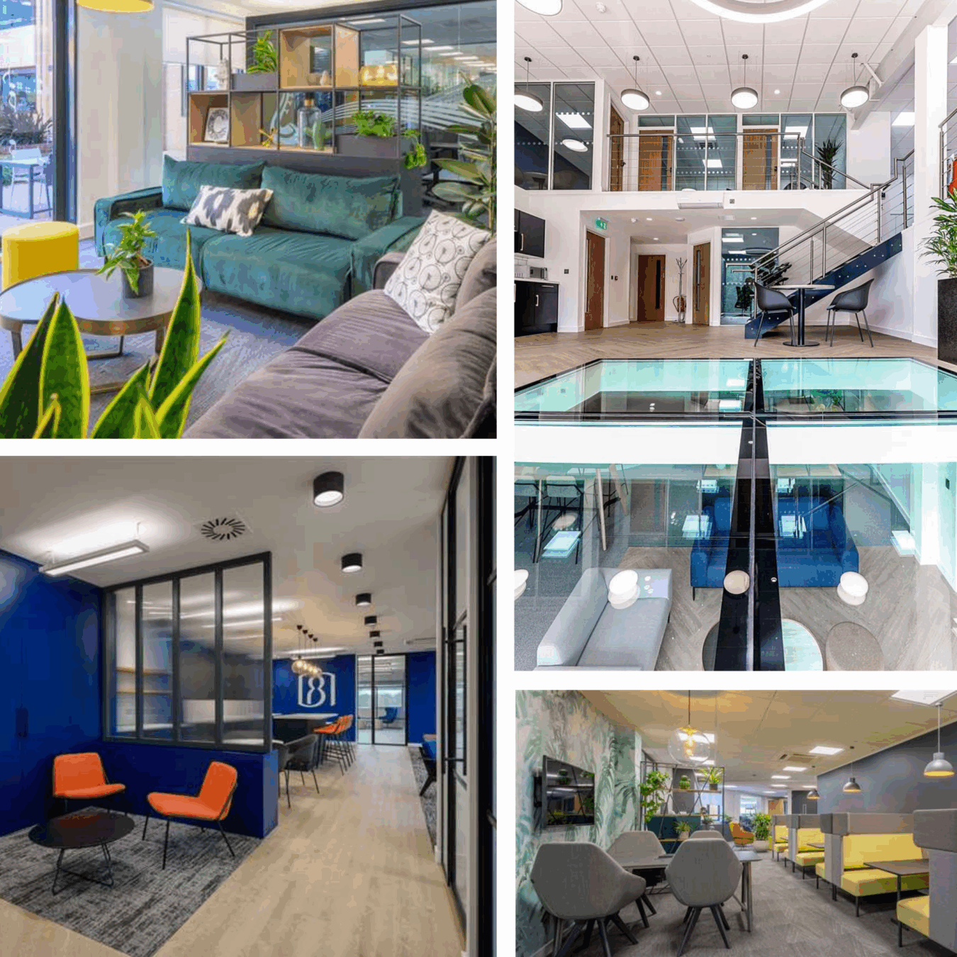 Modern office with stylish furniture and vibrant decor; includes seating areas, glass flooring, and a conference room. Blue accent walls display "81," enhancing a professional ambiance.