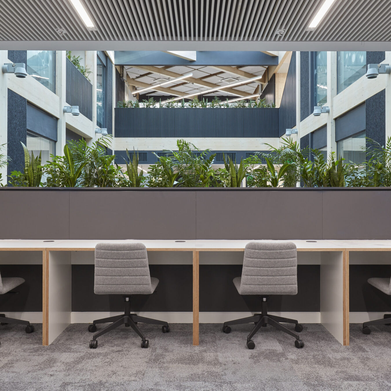 Four gray office chairs stand in front of a long white desk