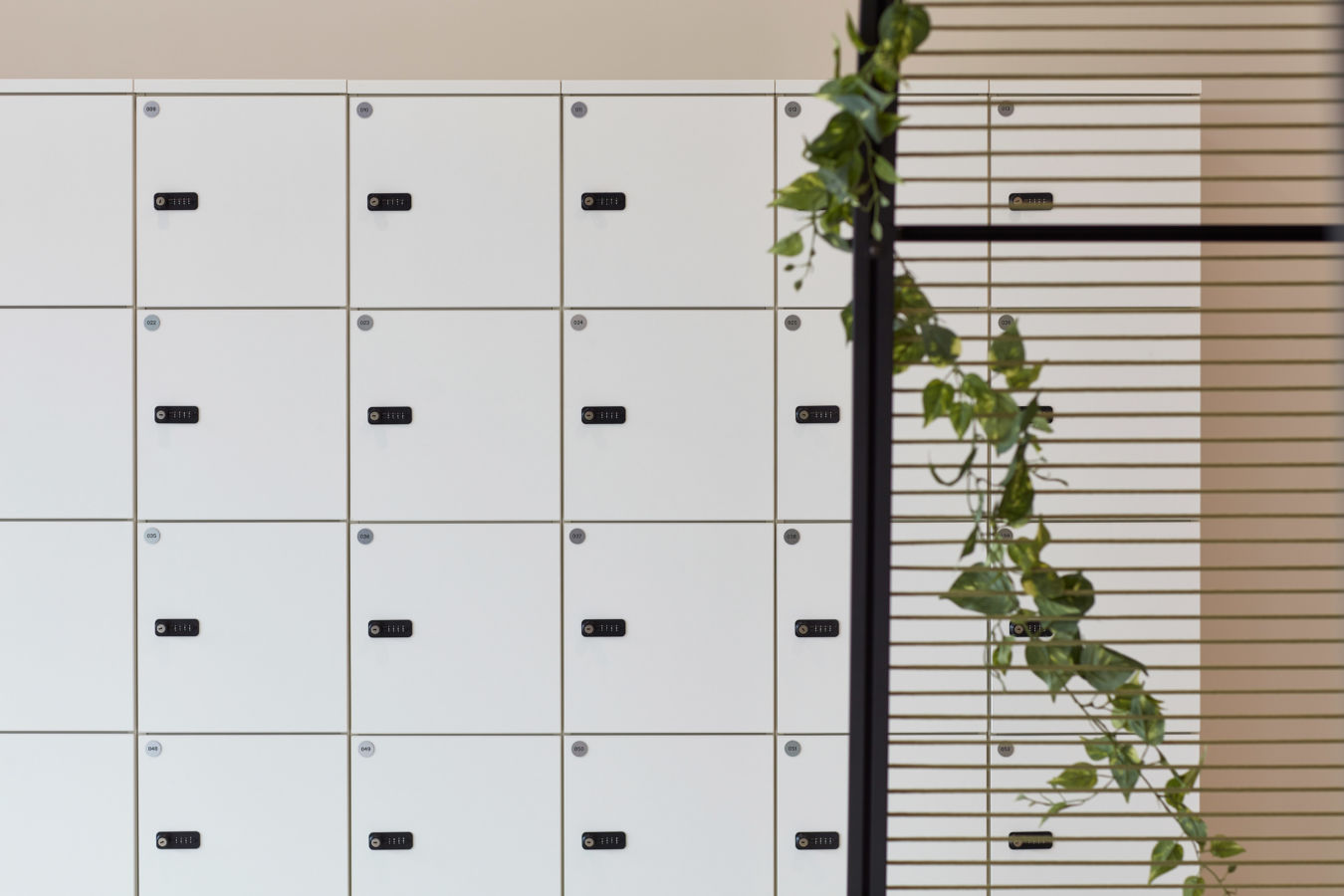 White lockers with numbered black dials are seen on the left, while hanging green vines drape over a black trellis on the right, creating a modern, organized ambiance