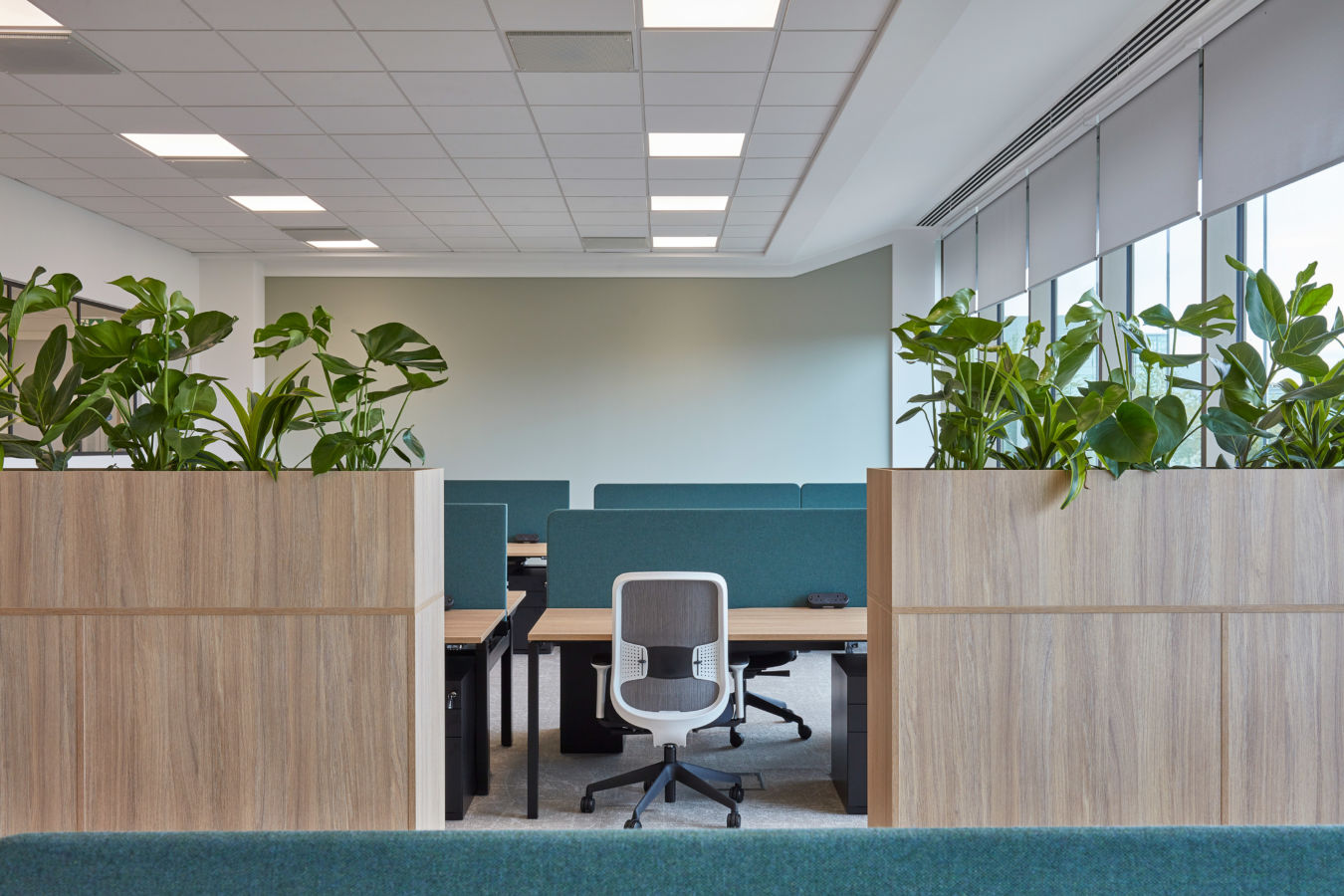 Modern office interior with green dividers and wooden planters filled with lush plants. An empty swivel chair faces workstations under soft lighting.