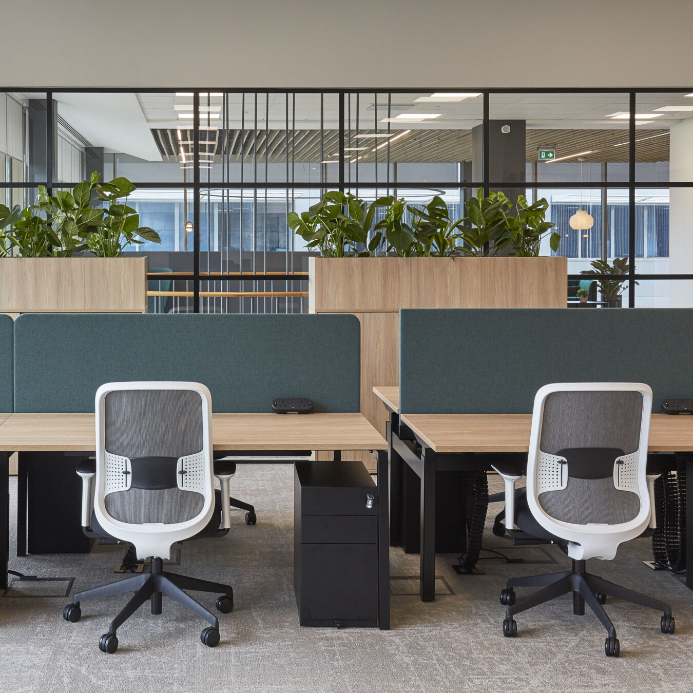 Modern office with two workstations featuring wooden desks, green privacy panels, and white chairs. Large plants and glass partitions create a fresh, open atmosphere
