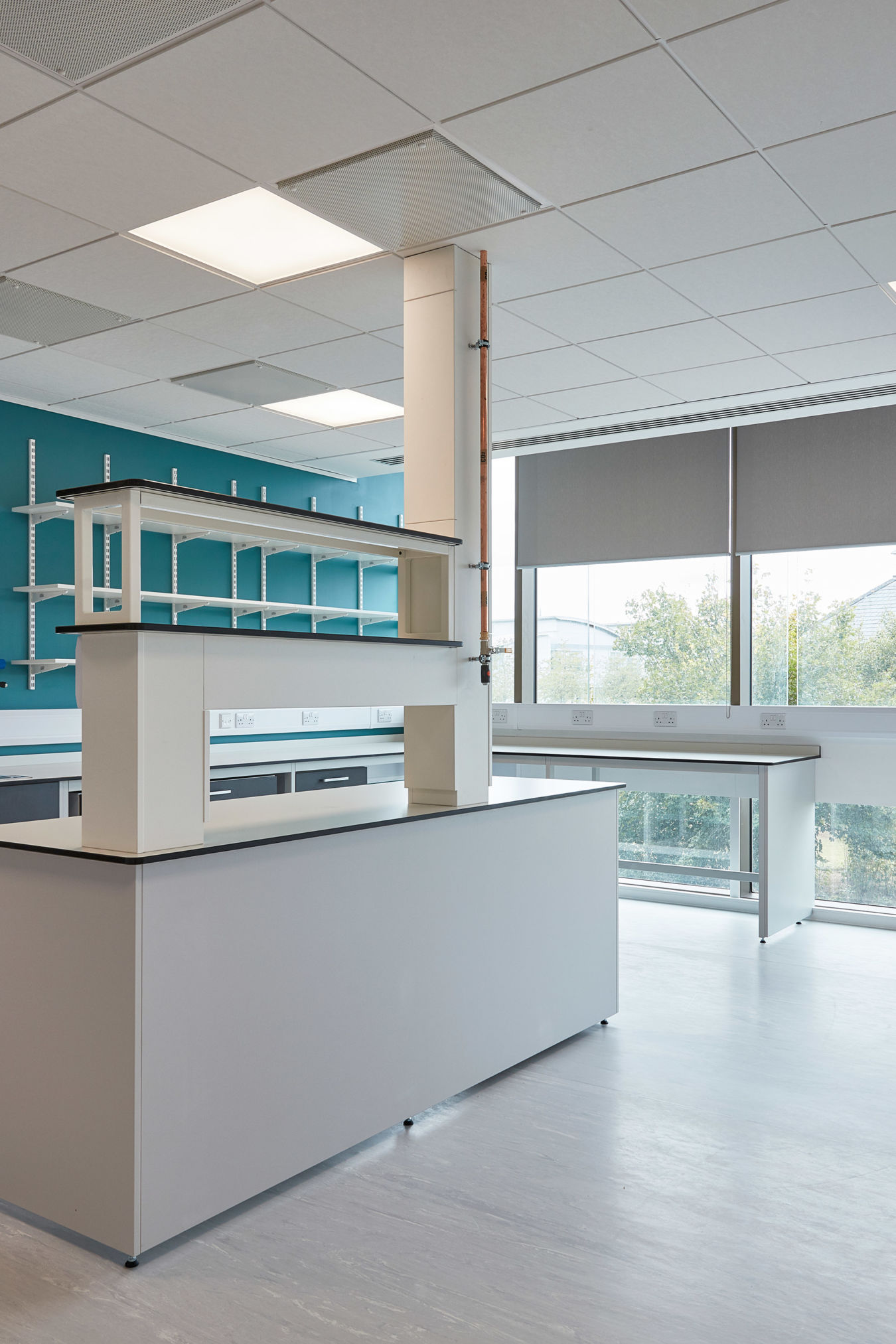 Laboratory countertops stand idle in a modern science lab, with shelves above and large windows providing natural light from outside greenery.