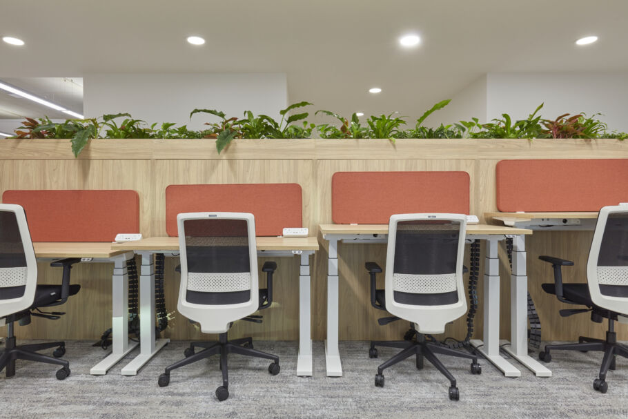 Office chairs are arranged at adjustable desks with orange privacy panels, situated under a planter filled with green plants. The setting features a softly lit, modern interior with a carpeted floor.