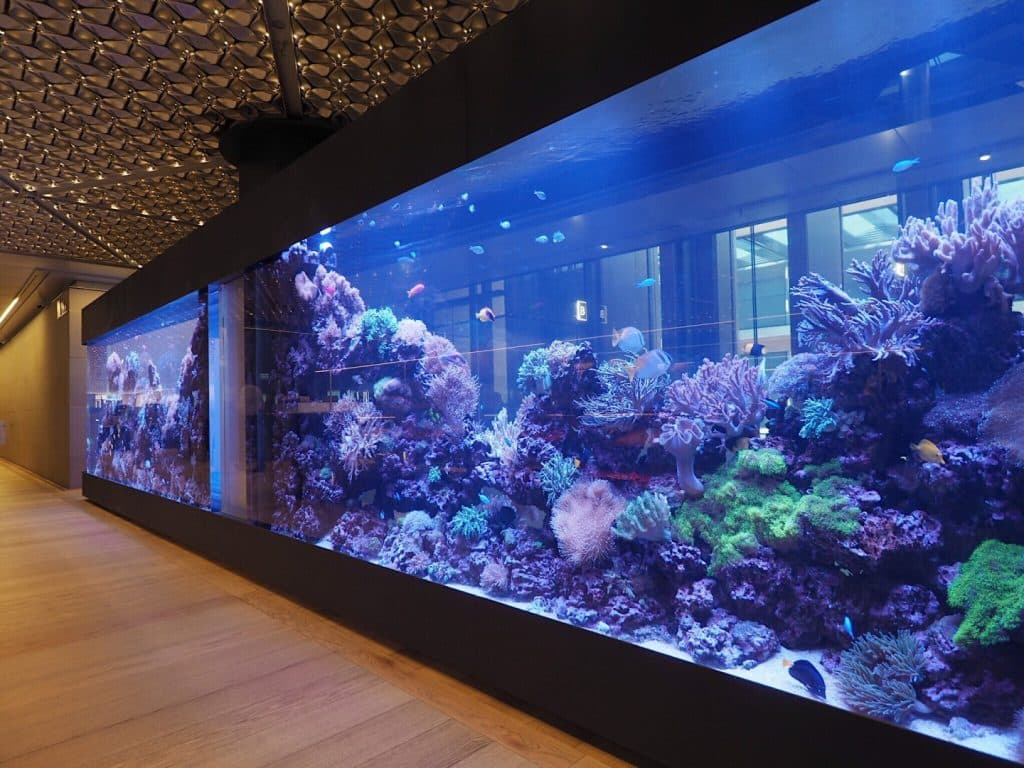 FishTank from Bloomberg's London office