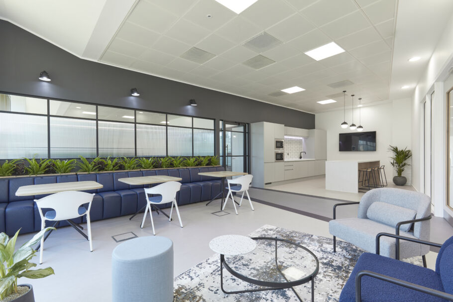 Modern office lounge featuring blue seating and white tables, with a kitchenette and bar stools in the background. Indoor plants line the windows, enhancing the room's minimalist design.