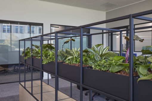 Modern office space featuring tall, black metal planters filled with lush green plants. Glass partition in background. Calm and refreshing atmosphere.