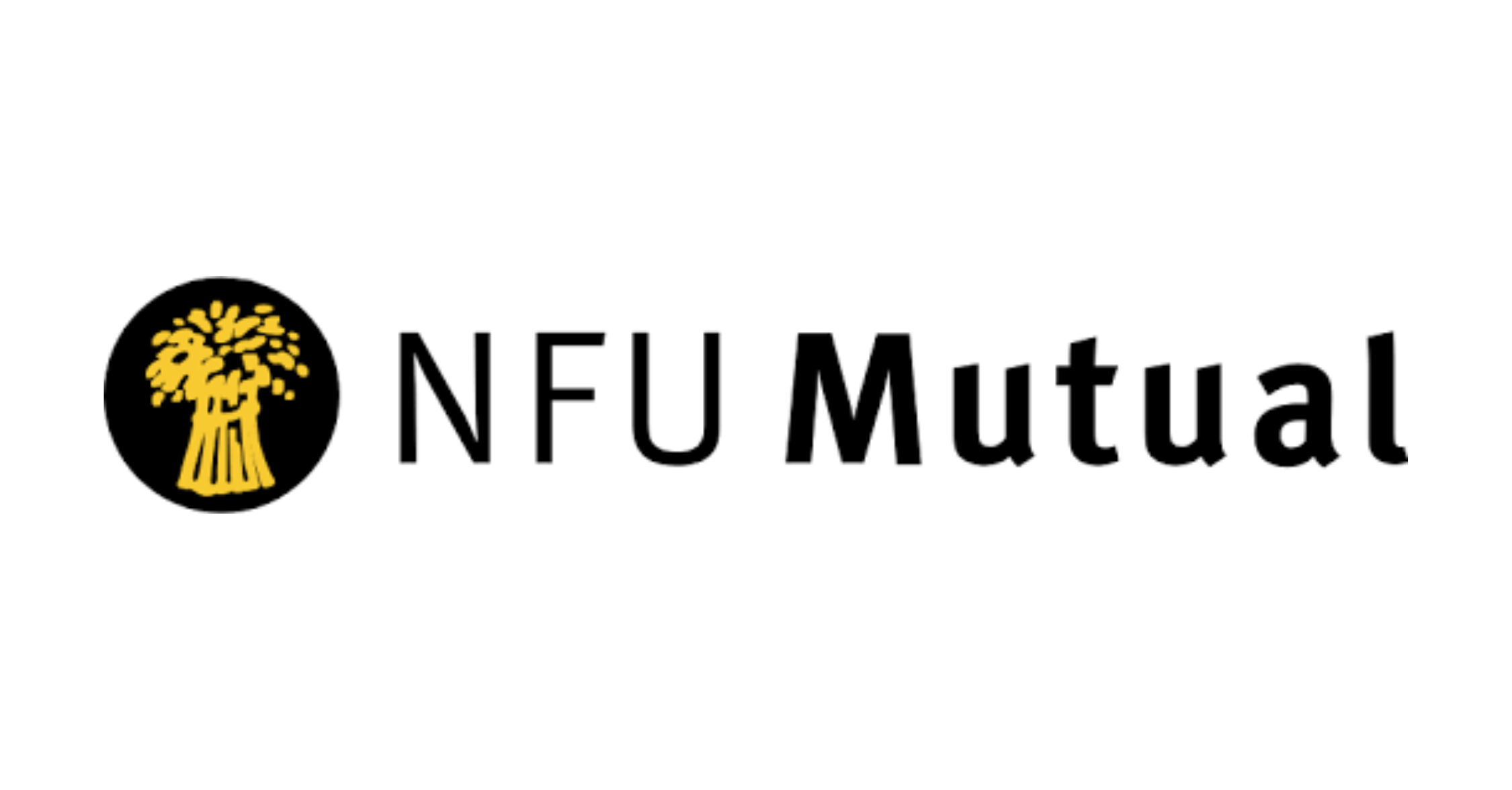 COEL Carter Jonas Charity Cricket Match 2025 - Sponsor - NFU Mutual
