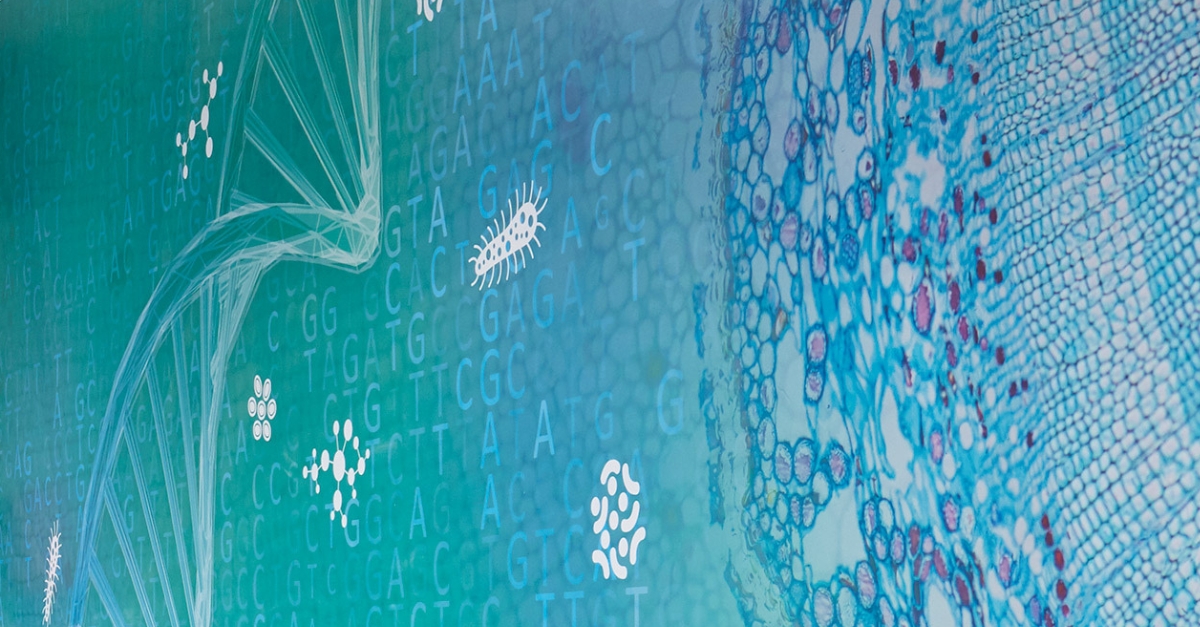 DNA sequencing on a wall in blue and green