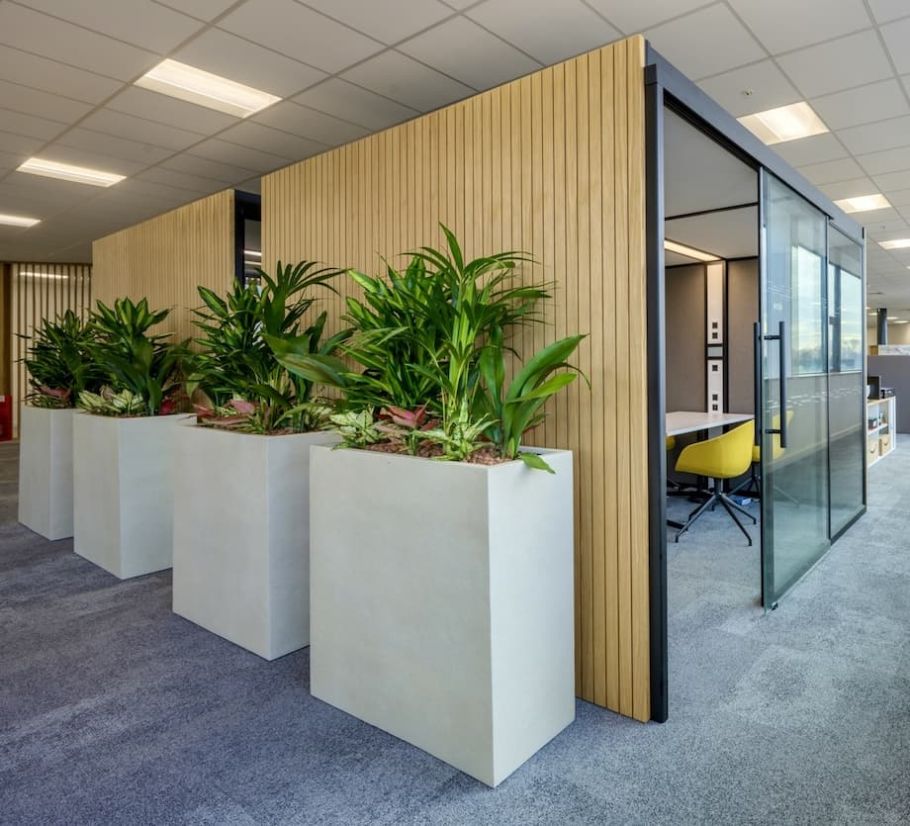 Incorporate Plants into Workplace Design - Biophilia - COEL